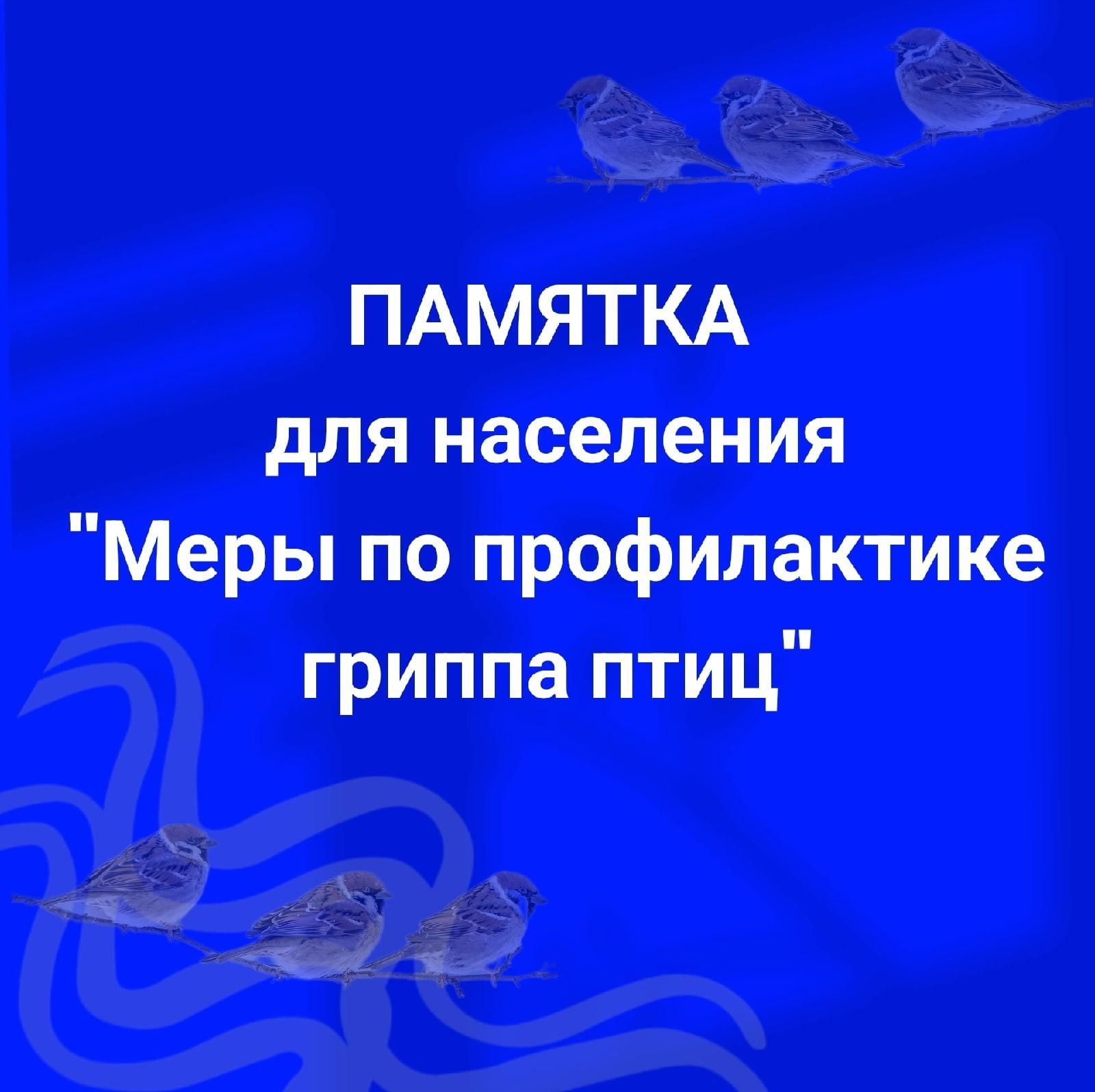 Памятка для населения &quot;Меры по профилактике гриппа птиц&quot;.